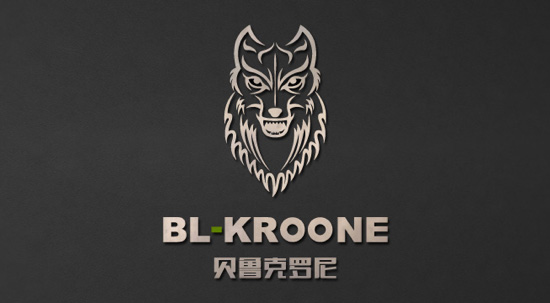 贝鲁·克罗尼BL-KROONE品牌策略咨询案例